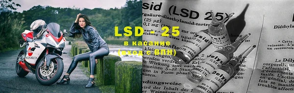 трава Кущёвская